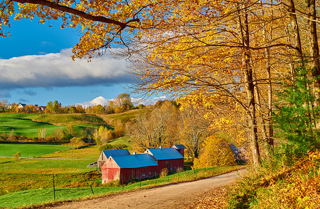 詹尼农场与谷仓阳光明媚的秋季上午佛蒙特,美国高清图片