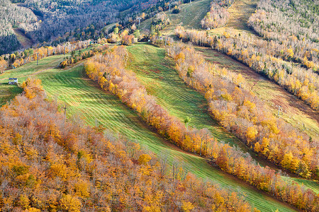 艺术家的虚张声势秋天的景色法国公园的秋天颜色美国新罕布什尔州白山森林图片