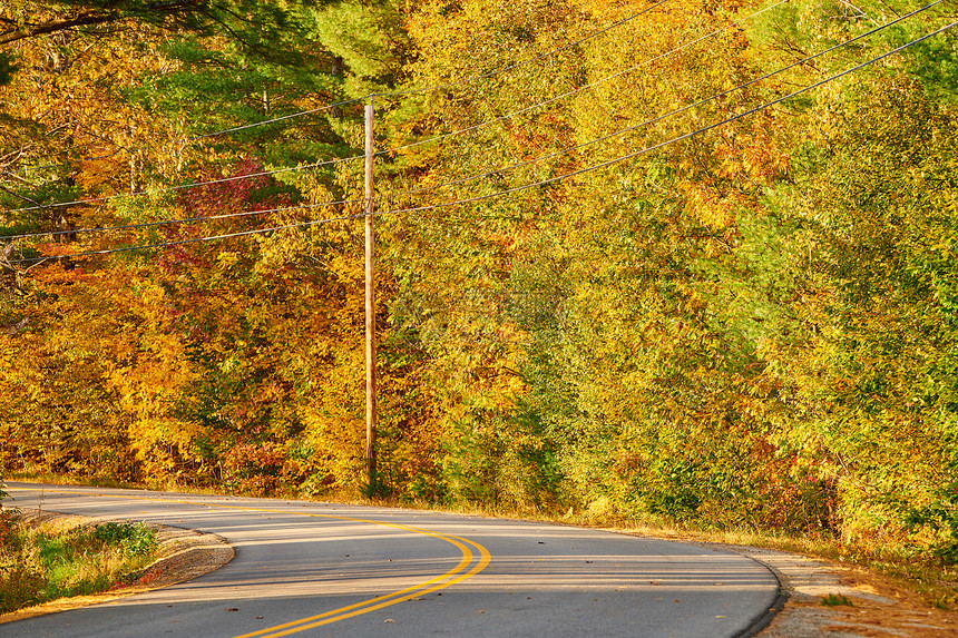 美国缅因州秋季公路图片