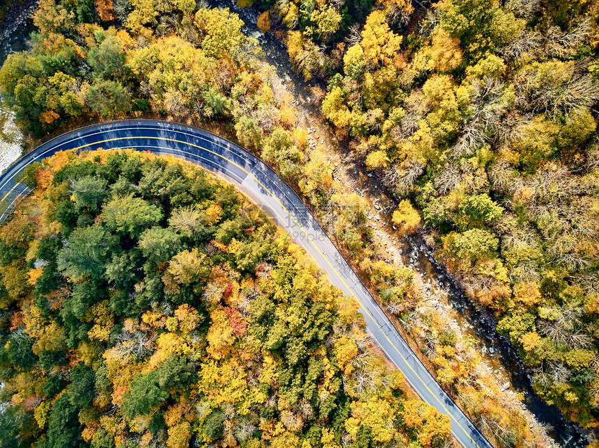 风景优美的莫霍克小径蜿蜒公路秋天,马萨诸塞州,美国落新英格兰空中无人机图片