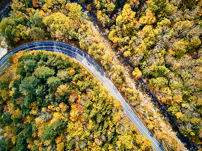 风景优美的莫霍克小径蜿蜒公路秋天,马萨诸塞州,美国落新英格兰空中无人机背景
