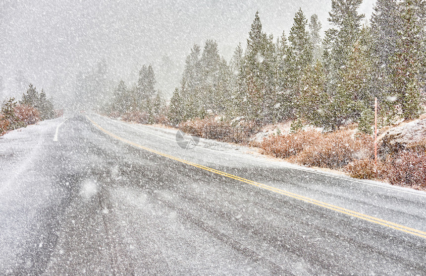 暴风雪开始约塞米蒂公园,蒂奥加通行证潮湿的雪路加州,美国图片