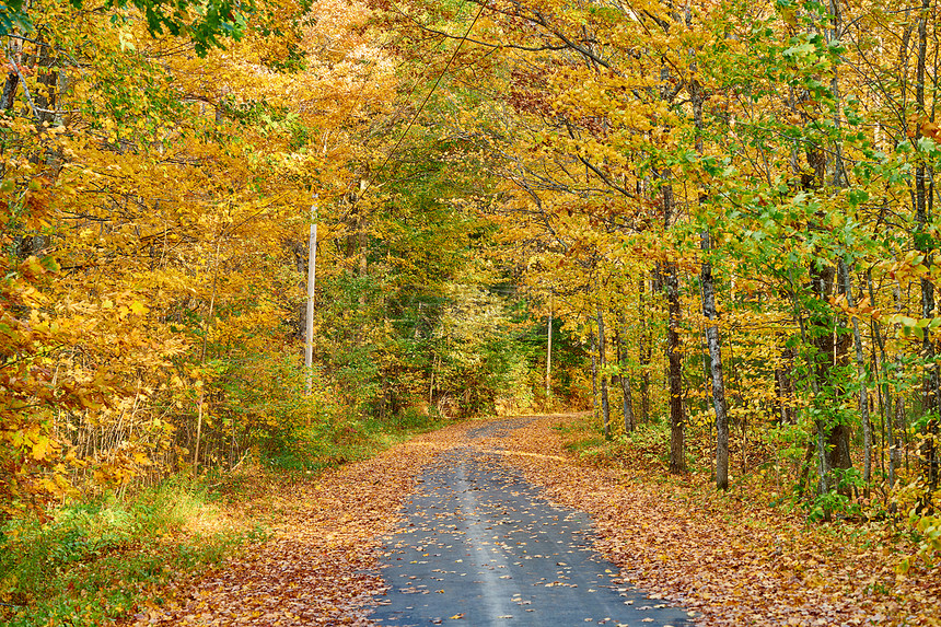 美国缅因州的秋路图片