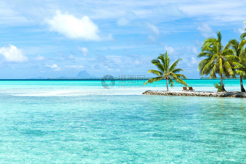 旅行,海景自然热带海滩与棕榈树日光浴法属波利尼西亚法属波利尼西亚热带海滩上的棕榈树图片