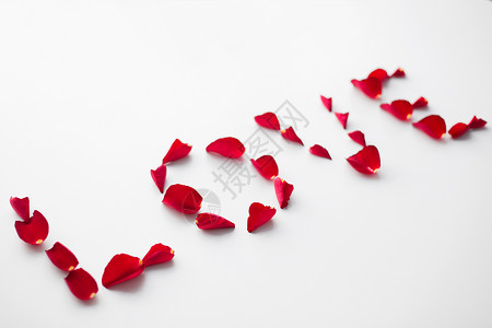 情人节浪漫的文字爱情由红色玫瑰花瓣白色背景用红玫瑰花瓣的爱图片