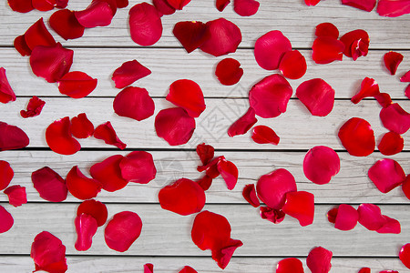 爱情,浪漫,情人节假期的红玫瑰花瓣红色玫瑰花瓣图片
