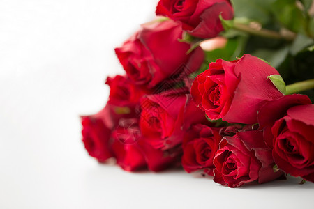 鲜花,情人节假日红玫瑰红玫瑰图片