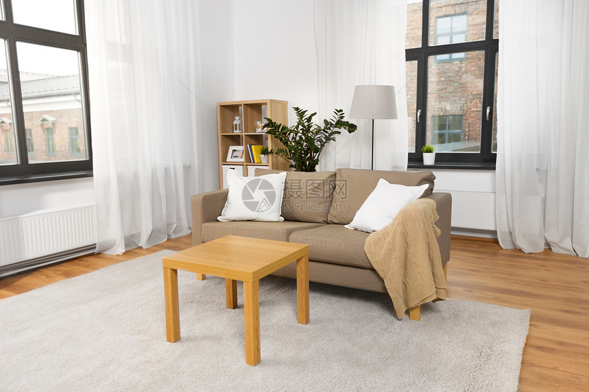 舒适,家具内部整洁的客厅与缓冲沙发桌子家里带沙发桌子的家庭客厅内部图片