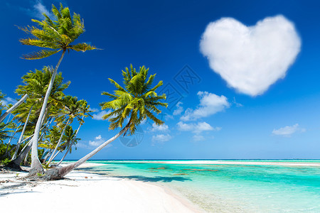 浪漫的度假热带海滩与棕榈树心形云法属波利尼西亚浪漫的海滩,棕榈心形的云图片