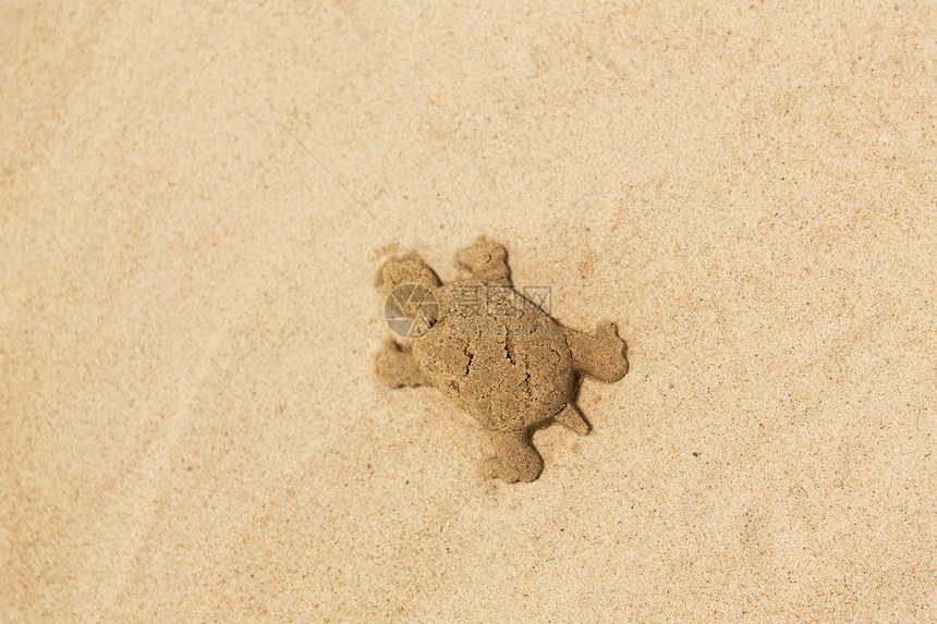 玩具,童假期沙子形状由海龟模具夏季海滩夏天海滩上海龟模制成的沙子形状图片