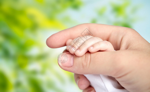 家庭,母亲,养育,人儿童保育的密切母亲新生儿的手绿色的自然背景母亲新生婴儿的手背景图片