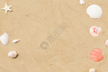 假期暑假海滩沙滩上的贝壳沙滩上的贝壳高清图片