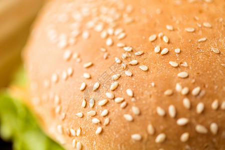 快餐健康的饮食汉堡包皮芝麻用芝麻汉堡包皮图片