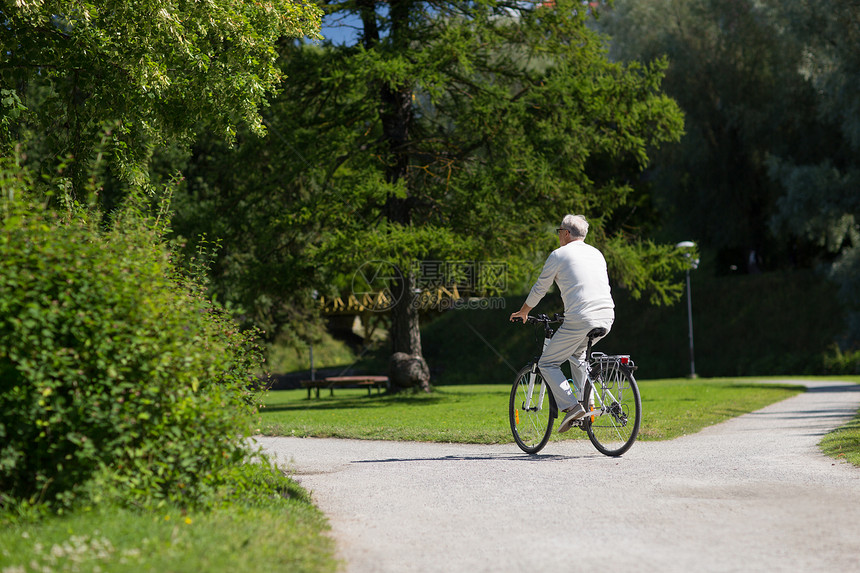 积极的老,人生活方式的快乐的老人骑固定自行车夏季公园快乐的老人夏季公园骑自行车图片