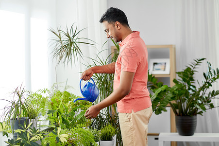 人,自然植物护理的印度人家里浇水印度男人家浇水图片