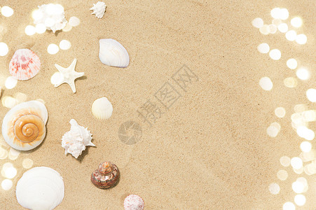 假期暑假海滩沙滩上的贝壳沙滩上的贝壳高清图片