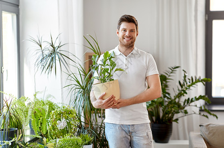 人,自然植物的微笑的人着花锅里,照顾家里的植物花的人家照顾盆栽植物图片