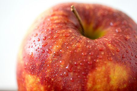 水果食物收获成熟红苹果的特写成熟的红苹果图片