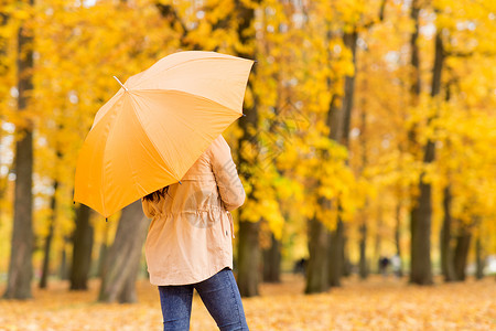 季节,雨天人们的轻的女人带着雨伞秋天的公园秋天公园里带着雨伞的轻女人图片