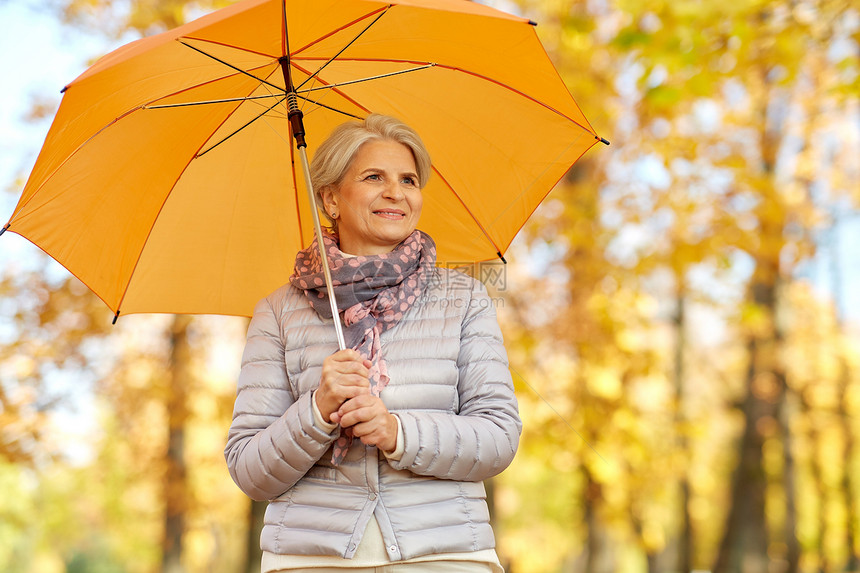 老天气季节秋季公园带伞的快乐老妇女的肖像秋天公园带着雨伞的快乐高级女人图片