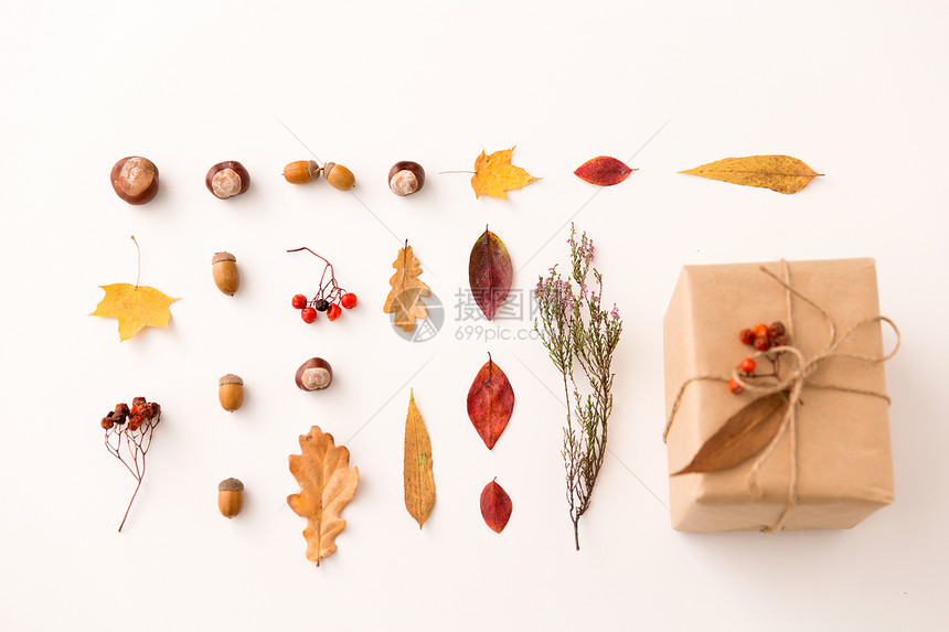 自然季节礼品盒包装成邮政包装纸,秋叶,栗子,橡子玫瑰浆果白色背景礼物,橡子玫瑰图片