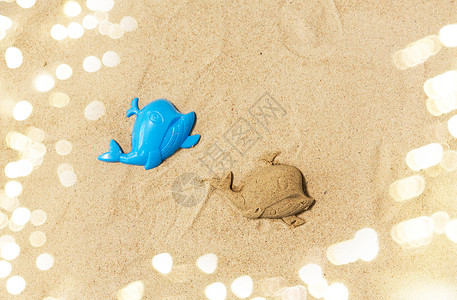 玩具,童假期沙子形状由鲸鱼模具夏季海滩夏天海滩上鲸鱼模具制成的沙子形状图片