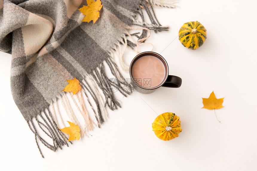 饮料季节杯热巧克力,秋叶,南瓜温暖的毯子白色的背景热巧克力,秋叶温暖的毯子图片