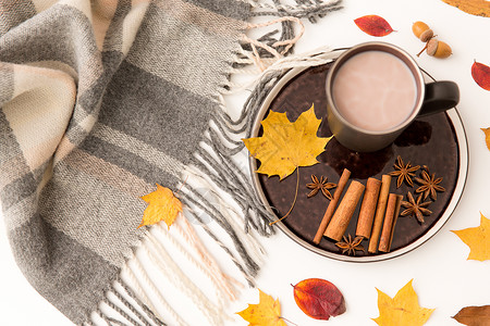 饮料季节杯热巧克力,秋叶温暖的毯子白色的背景热巧克力,秋叶温暖的毯子图片
