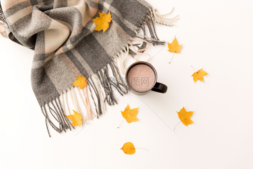 饮料季节杯热巧克力,秋叶温暖的毯子白色的背景热巧克力,秋叶温暖的毯子图片