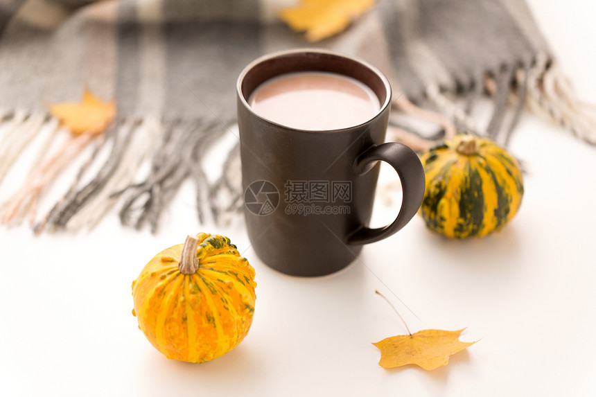 饮料季节杯热巧克力,秋叶,南瓜温暖的毯子白色的背景热巧克力,秋叶温暖的毯子图片