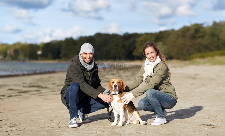 宠物,家畜人的快乐的夫妇与比格犬秋天的海滩秋天海滩上比格犬快乐的图片