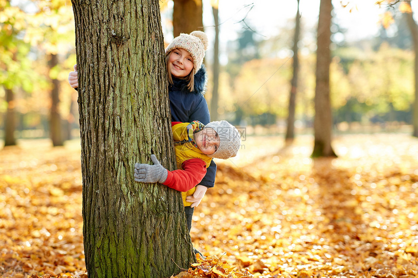 童,季节家庭快乐的孩子秋天的公园偷看树干快乐的孩子们秋天的公园里偷看树图片