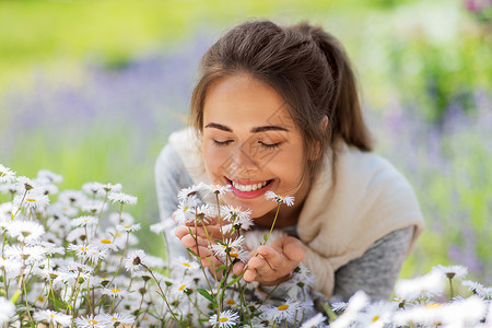 园艺人们的快乐的轻女人闻洋甘菊花夏季花园靠近闻洋甘菊花的女人图片