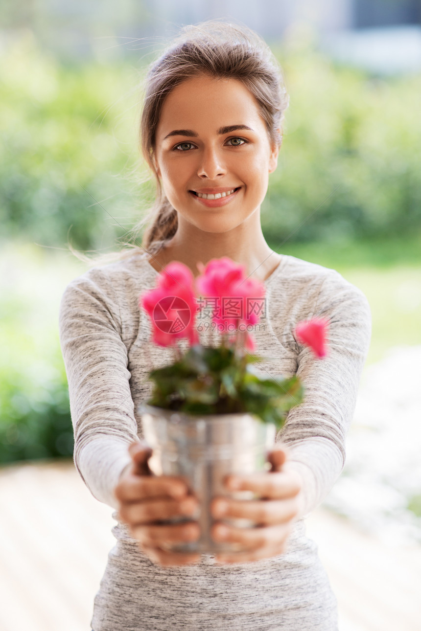 农业,园艺人们的快乐的轻妇女与粉红色仙客来花盆栽夏季花园夏天花园里仙客来花的轻女人图片