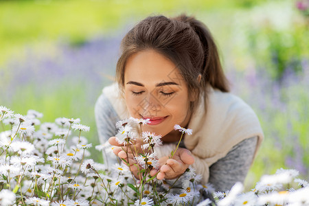 园艺人们的快乐的轻女人闻洋甘菊花夏季花园靠近闻洋甘菊花的女人背景图片