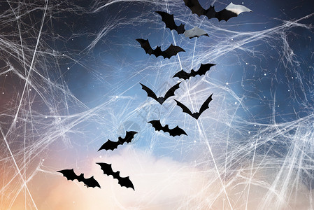 万节,装饰可怕的黑色蝙蝠飞过星空蜘蛛网的背景星空蜘蛛网上的黑色蝙蝠背景图片