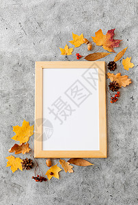 秋天框自然,季节植物学秋季水果白板木制框架上的灰色石头背景秋天的水果相框白板背景