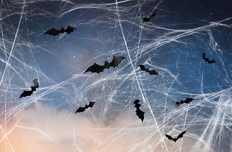 可怕的黑色蝙蝠飞过星空蜘蛛网图片