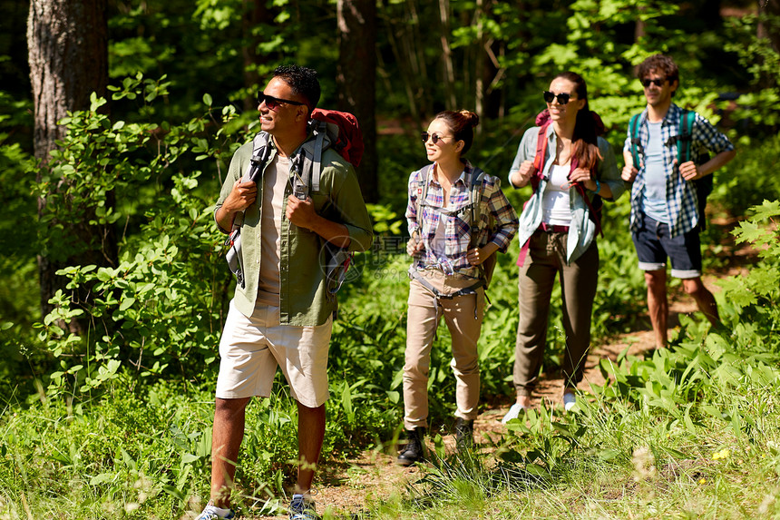 旅行,旅游,徒步旅行人的群朋友森林里带着背包散步群带背包的朋友森林里徒步旅行图片