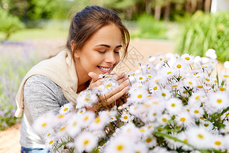 园艺人们的快乐的轻女人闻洋甘菊花夏季花园快乐的女人闻着花园里的洋甘菊花背景图片