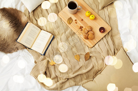 潮湿舒适的家庭饼干,柠檬茶,书树叶床上饼干,书床上的叶子图片