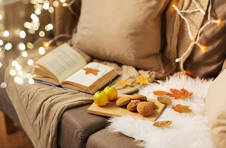 潮湿舒适的家庭柠檬,书,杏仁坚果燕麦饼干沙发上沙发上的柠檬,杏仁燕麦饼干图片