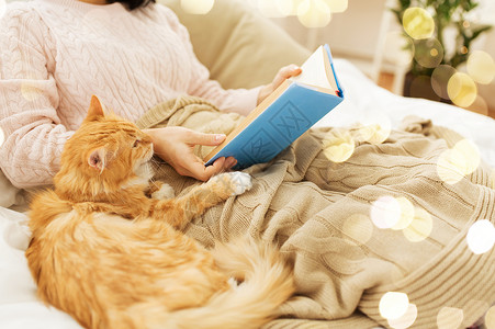 橘色猫依偎读书的主人旁边图片