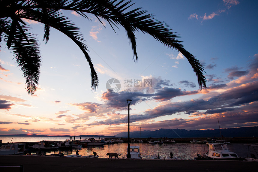 美丽的景观景观码头五颜六色的日落天空与云背景,棕榈树叶银辉前景日落天空背景下美丽的码头景色图片