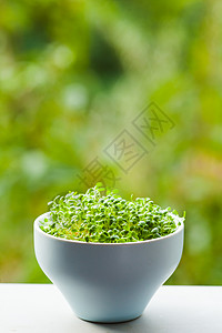 机微绿陶瓷碗上的自然背景机微绿色与文本图片