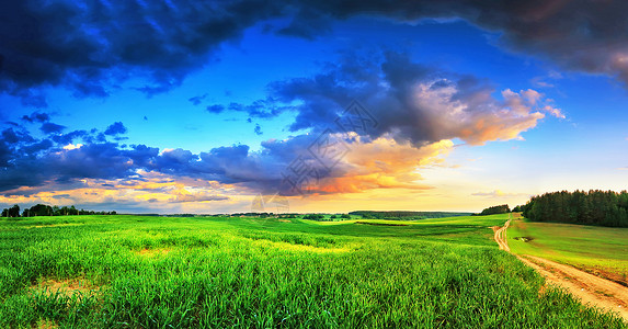 春天的乡村景色穿过绿色麦田的泥土路雨后的晚霞蓝天白俄罗斯图片
