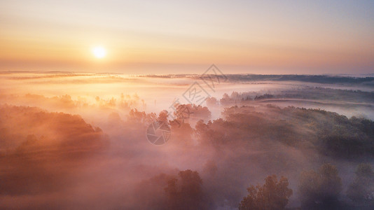 夏季自然景观航空全景雾蒙蒙的早晨,河流森林阳光下雾蒙蒙的日出时令人惊叹的自然景象白俄罗斯,欧洲背景图片