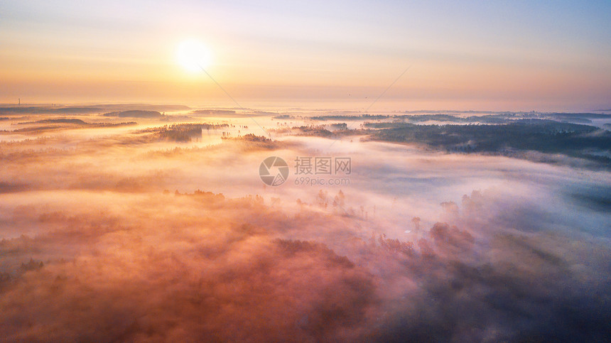 夏季日出晨雾林地空中全景夏季自然景观自然阳光场景与光白俄罗斯,欧洲图片