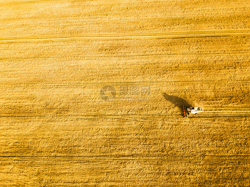 收割机场景工作联合收割机农业机收获金熟麦田农业俯视图片