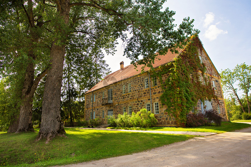 古老的家堵古老的砖墙,覆盖着葡萄藤三叶草,位于图拉达,欧洲,拉脱维亚图片